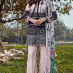 Asifa Nabeel Luxury Lawn Unstitched 3 Piece Suit ANL20-08-E - Summer Collection