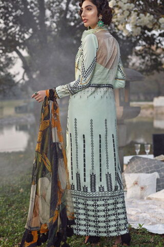 Asifa Nabeel Luxury Lawn Unstitched 3 Piece Suit ANL20-13-D - Summer Collection
