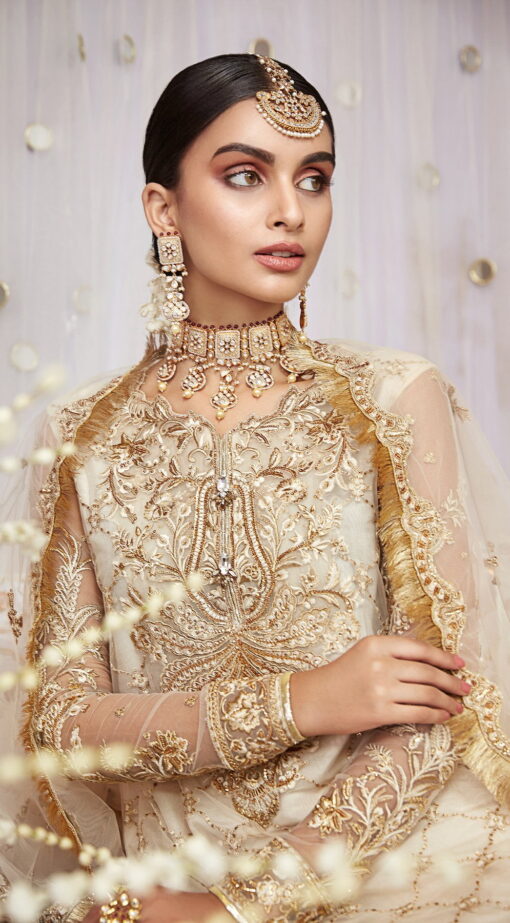 Nargis by Anaya Embroidered Net Unstitched 3 Piece Suit AKCNC20 03 Mehrbano - Wedding Collection