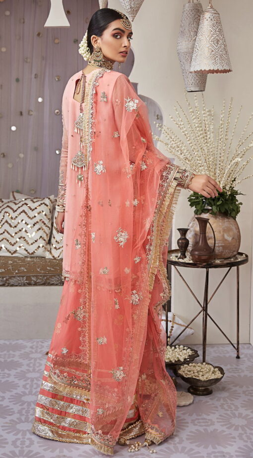 Nargis by Anaya Embroidered Chiffon Unstitched 3 Piece Suit AKCNC20 04 Aryana - Wedding Collection