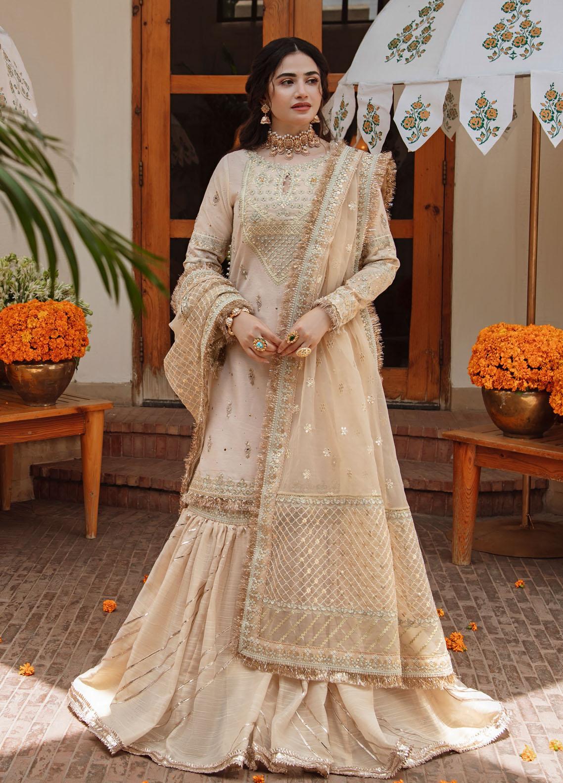 Qalamkar Embroidered Cotton Net Suit Unstitched 3 Piece 07 - Wedding Collection