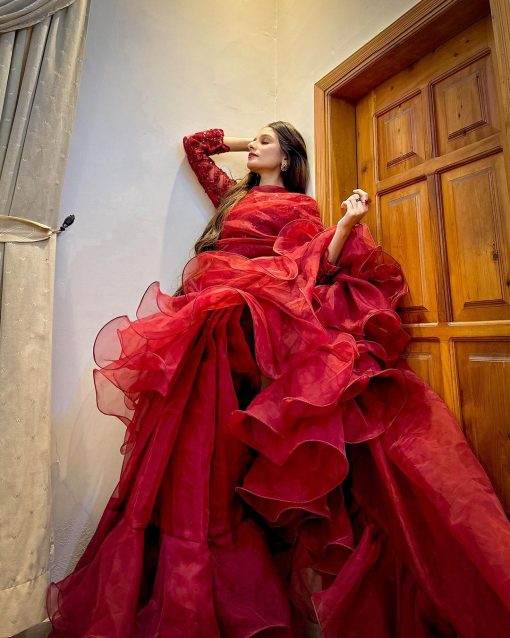 Apnibazar Exclusive Elegant Maroon Organza Ruffle Saree with Sequin Net Blouse Stitched