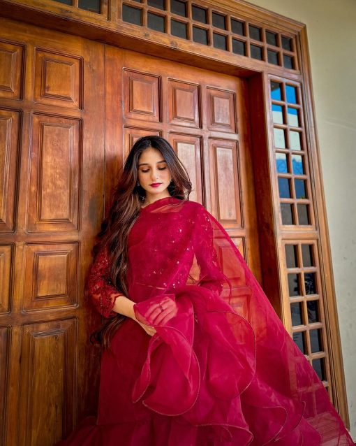 Apnibazar Exclusive Elegant Maroon Organza Ruffle Saree with Sequin Net Blouse Stitched