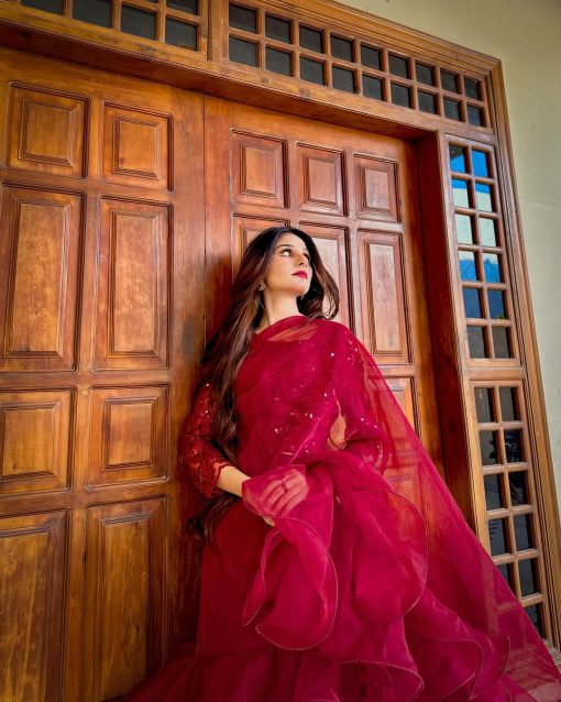 Apnibazar Exclusive Elegant Maroon Organza Ruffle Saree with Sequin Net Blouse Stitched