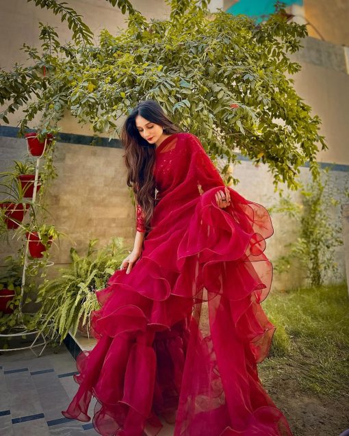 Apnibazar Exclusive Elegant Maroon Organza Ruffle Saree with Sequin Net Blouse Stitched