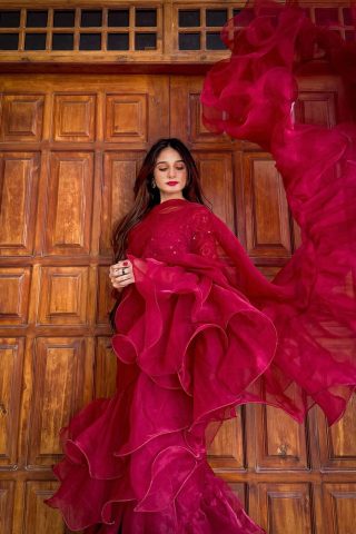 Apnibazar Exclusive Elegant Maroon Organza Ruffle Saree with Sequin Net Blouse Stitched